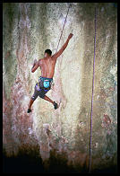 Darryl Jones on "Thank You Sophie" (7b), Defile Wall