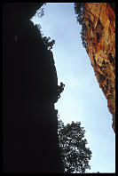Darryl Jones, Defile