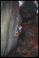 Kim Gibbs on "Krabi Krabi" (6c), Defile