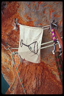 Party time at the end of the second pitch