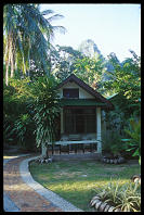 Home for the holidays