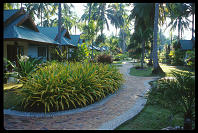 Home for the holidays