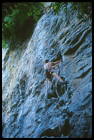David Benson climbing "Papaya Salad" (7a) at Tonsai
