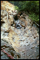 Darryl Jones in the "Groove Tube" (5)