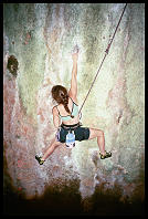 Sheryl Lehman, "Thank You Sophie" (7b)