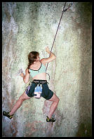 Sheryl Lehman, "Thank You Sophie" (7b)