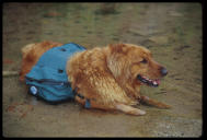 Tuckerman, taking a break