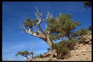 Grand Canyon NP, Arizona
