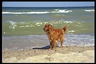 Tuckerman at Lake Michigan, Michigan