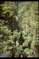 Aerial tram through the tropical rain forest canopy, Costa Rica