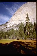 Meadow at the base of Half Dome. Yosemite, California