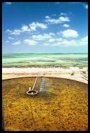 Conchs are raised in tanks on land and in fenced in areas off the beach