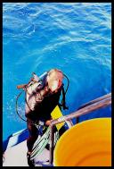 Departing hostess, Jill